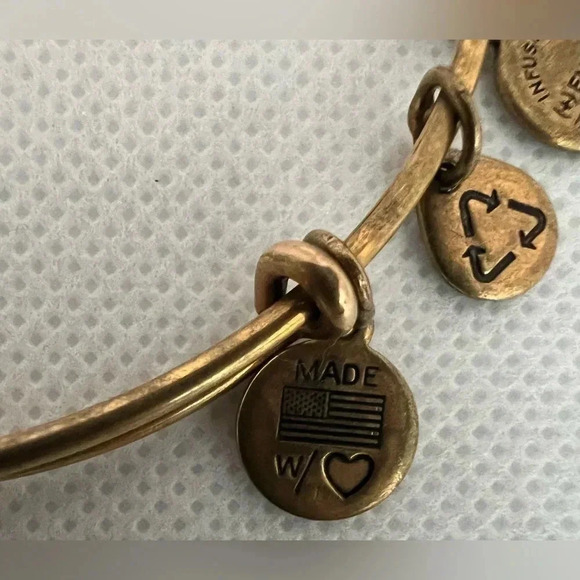 Alex and Ani | Mother/child Hand in Hand charm bracelet. - Picture 3 of 12